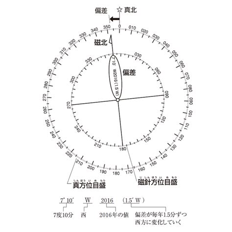 陰毛女性 真方位 磁方位